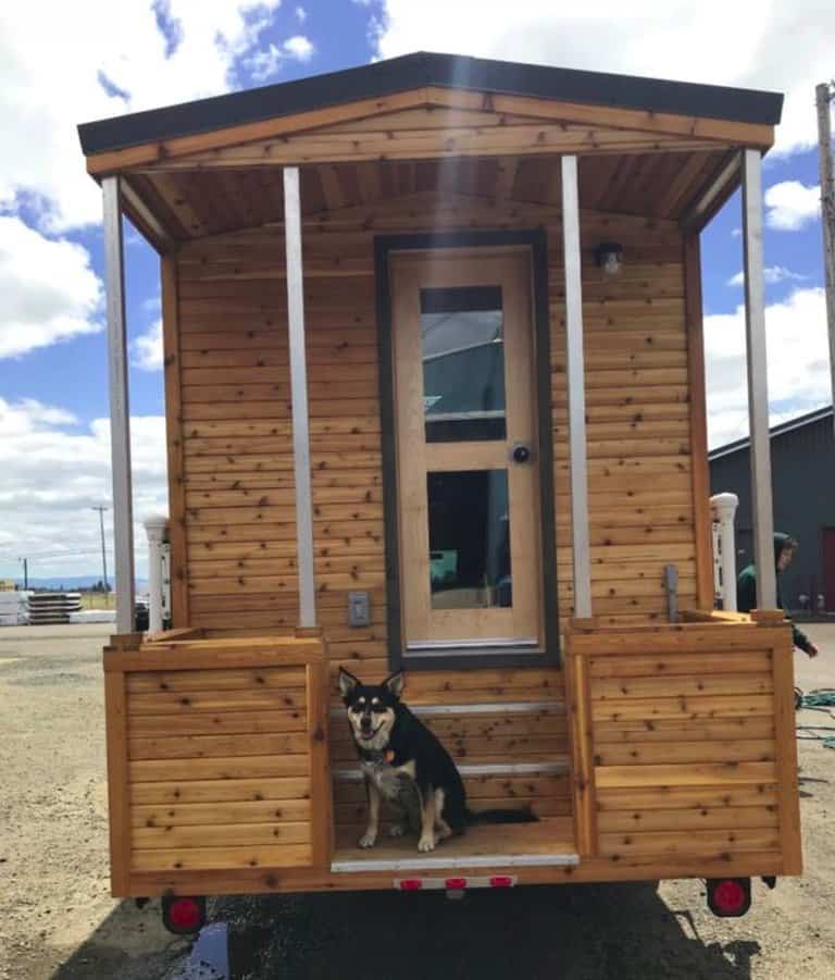 The Tiny Little Traveller, The Tiny Little Traveller